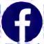 Facebook Icon